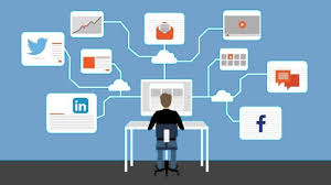 social media algorithm